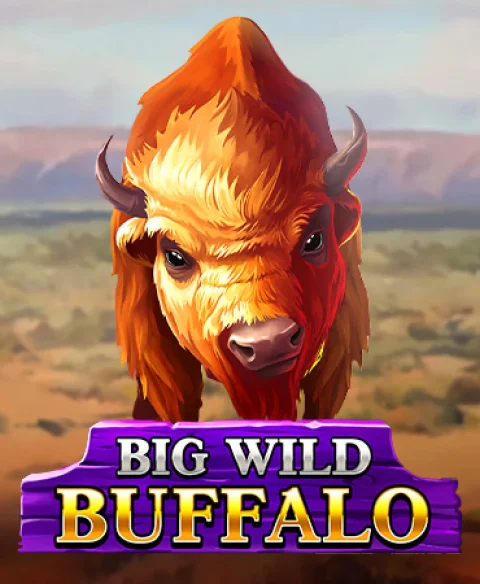 Play Big Wild Buffalo at Rolletto Casino